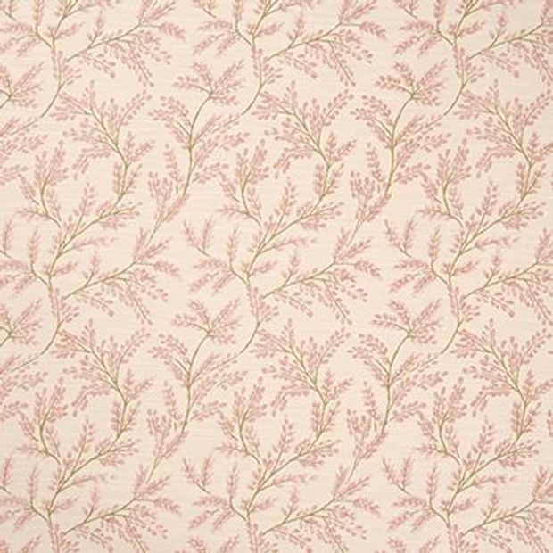 Delizia Blush