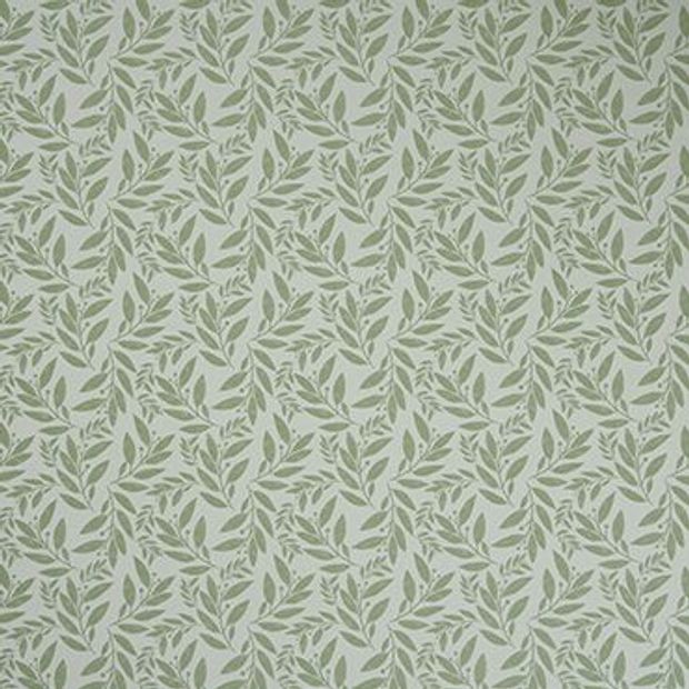 Folia Sage