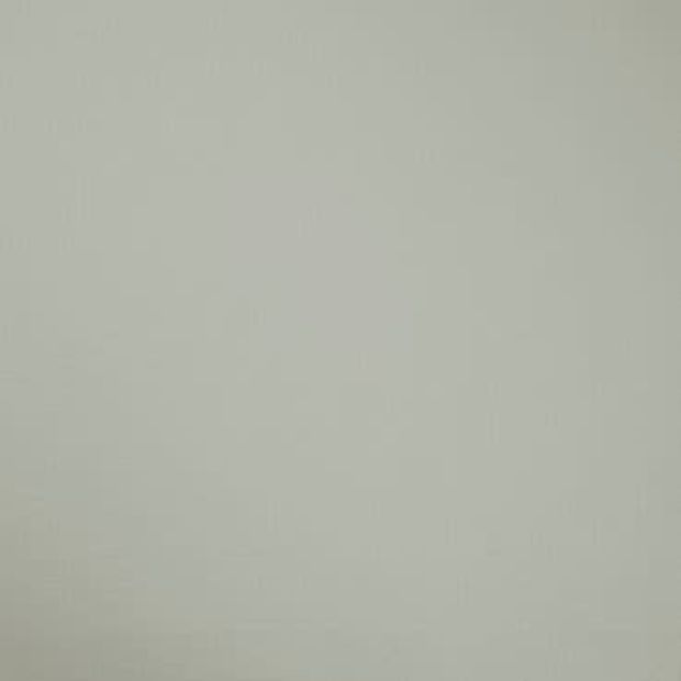 Tetbury Silver swatch is a silver-grey shade with a matte texture