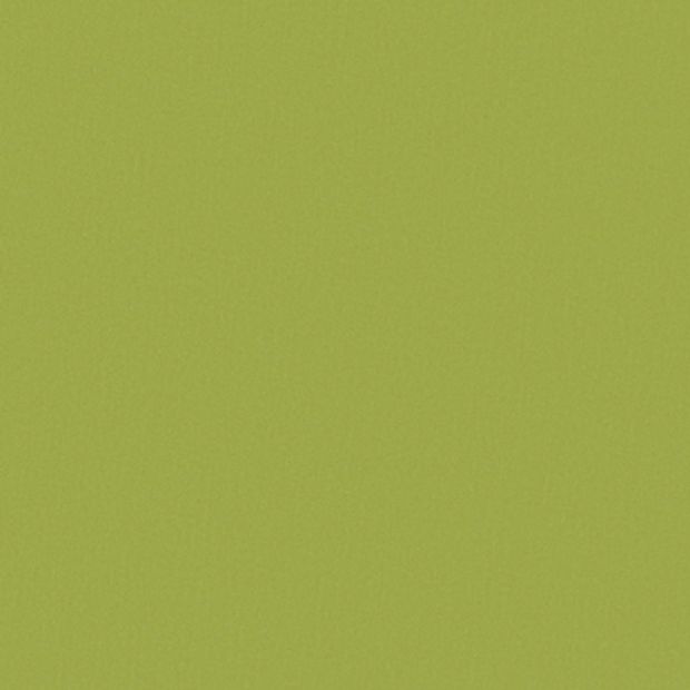Rich green coloured swatch of acacia forest