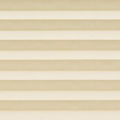 Mini Stripe Cream