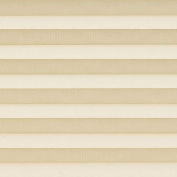 Mini Stripe Cream