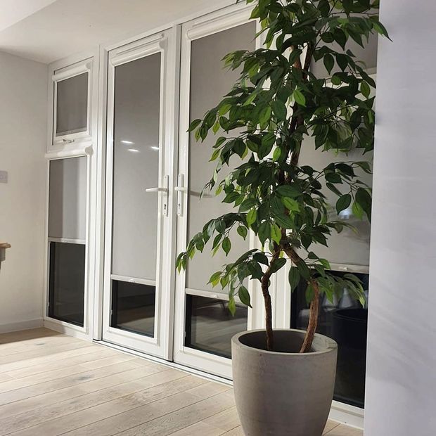 Grey Perfect Fit roller blinds in French doors behind plant