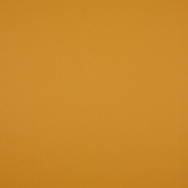 Acacia Butter Scotch Swatch