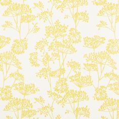 Line drawings of flowers on stems in yellow, on a white background.