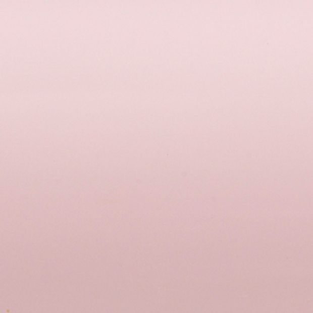 Portfolio Pink Blossom