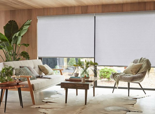 Compose Shadow roller blind in a lounge window with plants.
