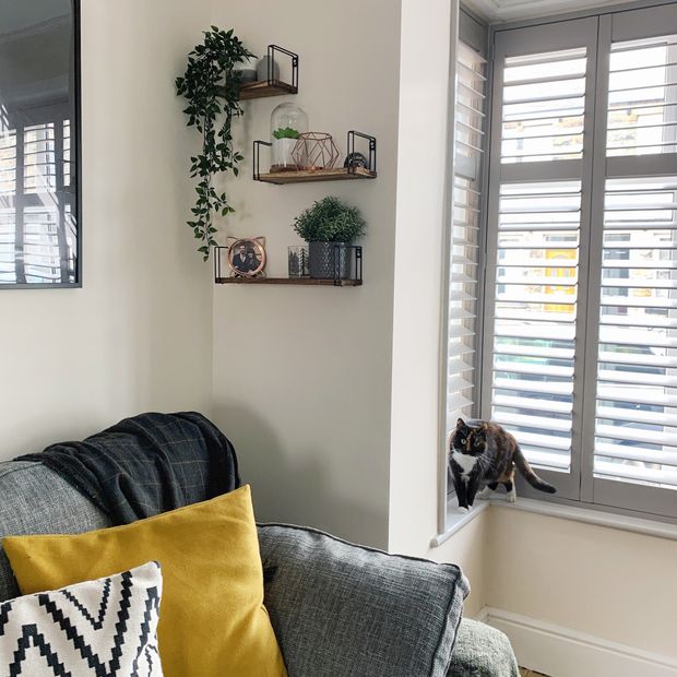 Grey shutters in a white living room and cat on the window