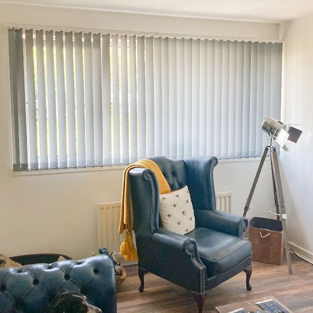 Reber silver vertical blinds in living room