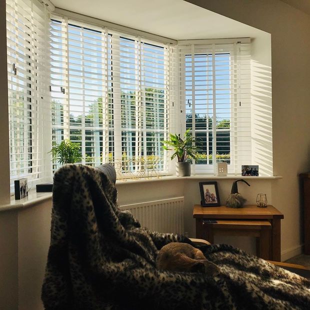 mirage milk white faux wood blinds in living room