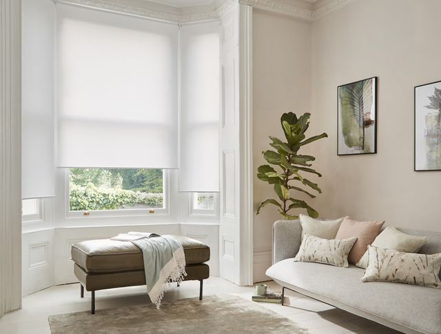 Compose oyster roller blinds in living room bay window