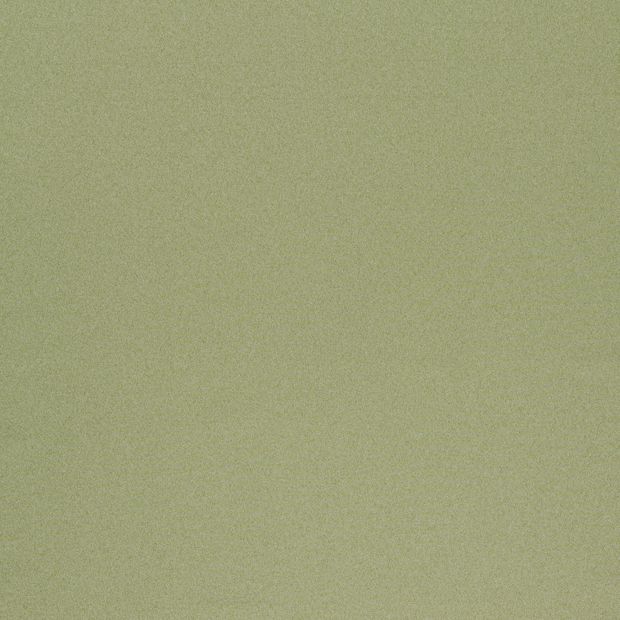 Flat swatch fabric of Huxley Moss Light Green