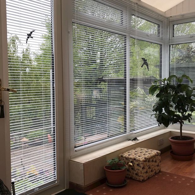 Spectrum Gloss White venetian blind in conservatory