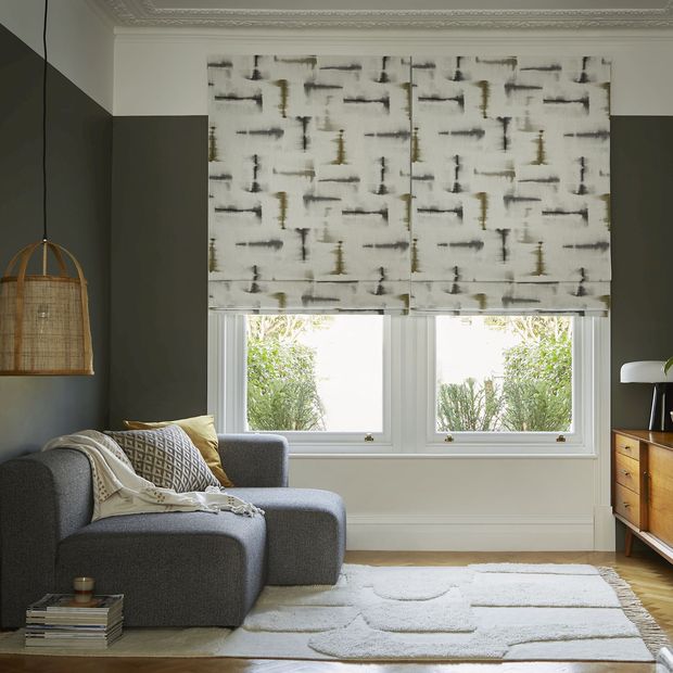 Expression sombre roman blinds in living room window