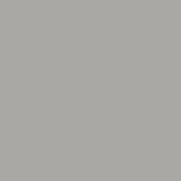 Light grey colour of the storm grey swatch