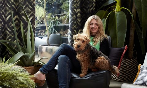 Someone sat with a dog in a living room that is decorated with plants and gasoline patterned curtains fitted to  a door window