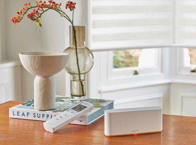 Somfy Smart hub