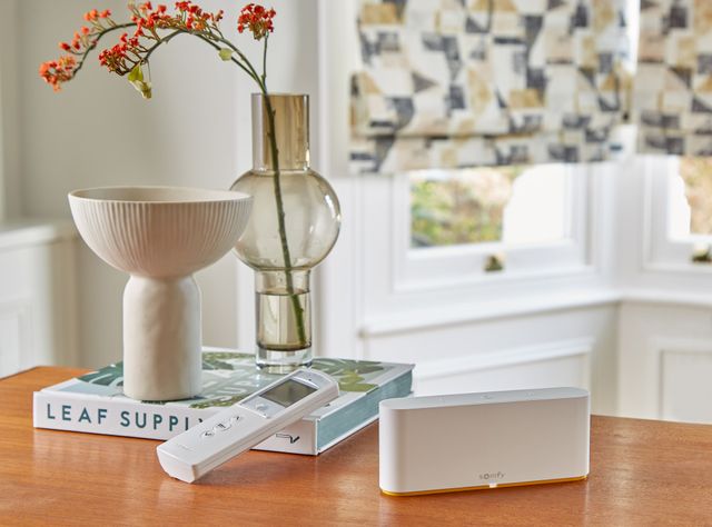 Somfy Smart hub