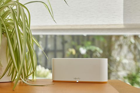 A somfy hub sits on sideboard next to a potted spider plant with a window in the background dressed in a white textured roller blind.
