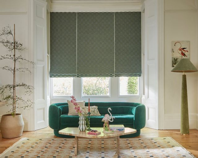 Poodle and Blonde Tucson Lullaby Roman Blind in the Living Room